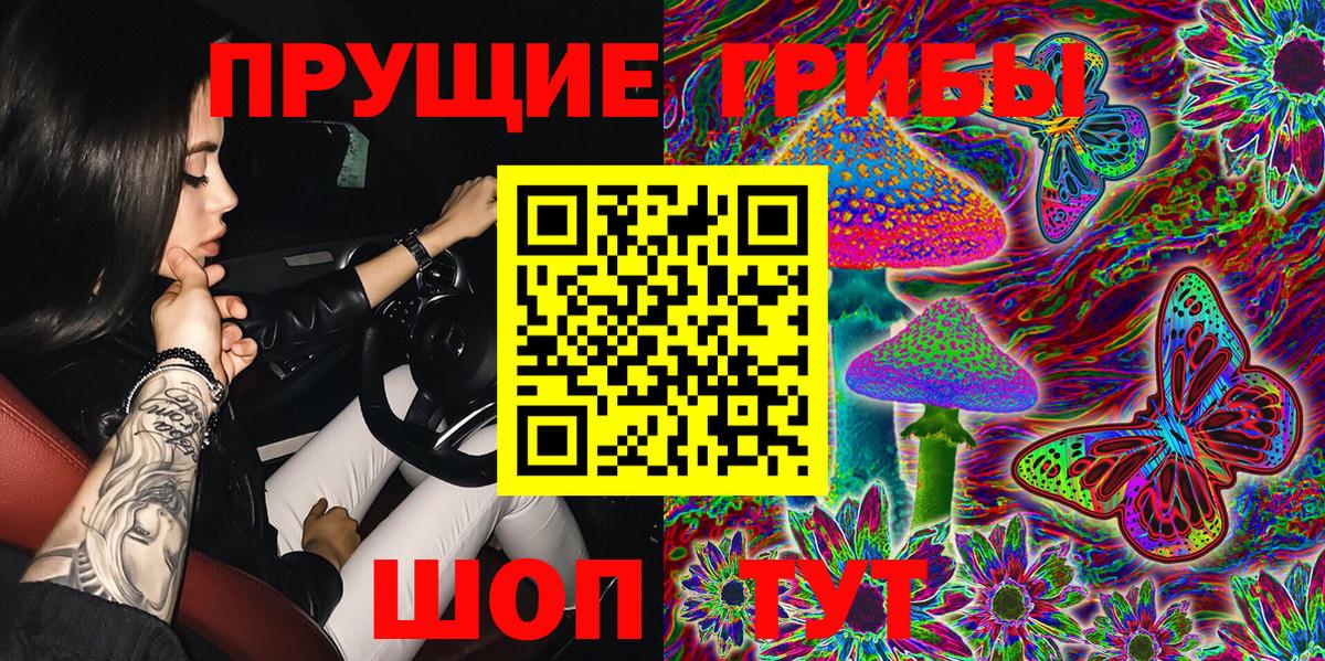 Галлюциногенные грибы Psilocybe Магадан